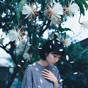 生死相许 (凤梨 Remix)
