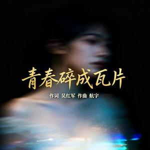 青春碎成瓦片