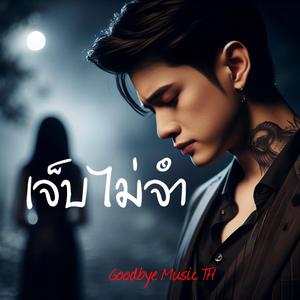 เจ็บไม่จำ