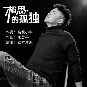 相思的孤独 （舞曲版）