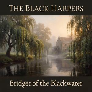 Bridget of the Blackwater