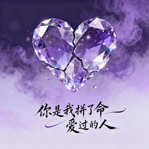 你是我拼了命爱过的人