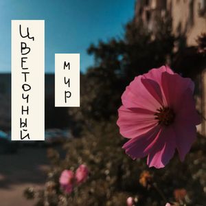 Я тебе писал