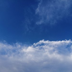 让我做你的眼睛