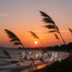 自己的太阳