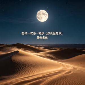 想你一次落一粒沙（荒漠里的草）