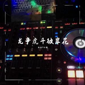 龙争虎斗彼岸花