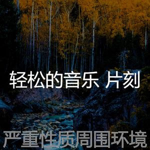 优美休息中器乐