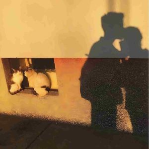 我失去了对所有人倾诉的欲望