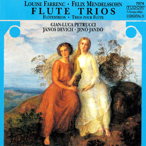 Piano Trio in E Minor, Op. 45:II. Andante