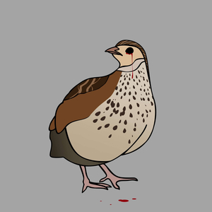 Перепёлка (prod. ivan happy)