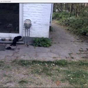 Leo Is Een Spiegel Gaan Halen