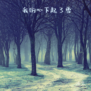 我的心下起了雪