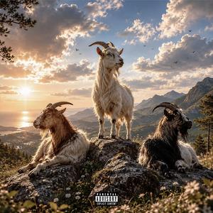 100 Flows