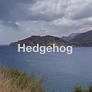 Hedgehog