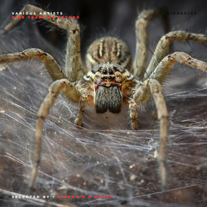 The Children Of The Python (Johannes Heil's 'Tiger Python' Remix)