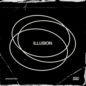 ILLUSION