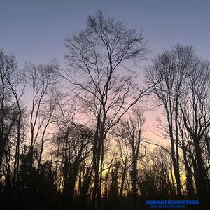 ORIGINALE DISCO VERSION l Équilibre En Mouvement (chronos) 135bpm audacity 24bit