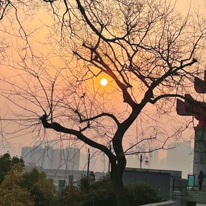 回应