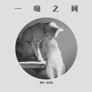 一吻之间（男生版）（翻自 张碧晨）（翻自 张碧晨）