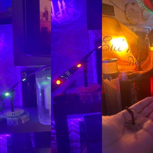 cx ravegirl trycal beeb