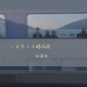 12月15杨祎凡