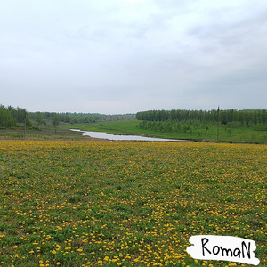 Прошлогодний плацкарт