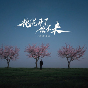 桃花开了你没来