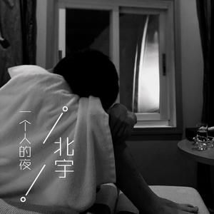 一个人的夜（demo）