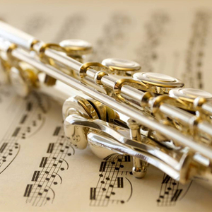 邂逅 长笛（翻自 云菲菲）