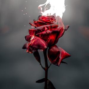 Demands (feat. Lil Richie)