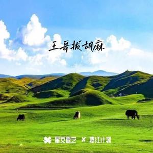 喝一碗凉水是喜欢