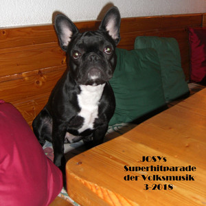 Kreuzfidel durch's Kärntnerland