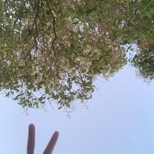 Negitive Energy