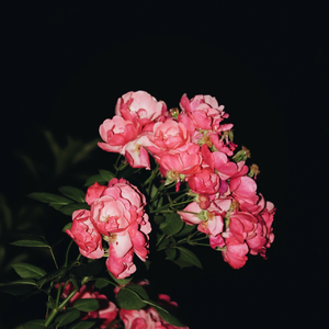 你的痛苦我都心疼 想为你解决