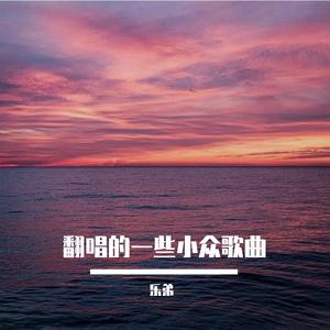 寂寞寂寞不好（旋律DJ）