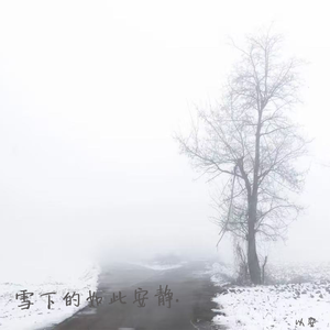 雪下得如此安静