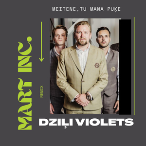 Meitene, Tu Mana Puķe (Mart Inc. Remix)