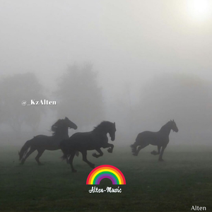 Kara Jorga黑走马（DJ版）