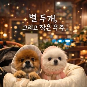 별 두개, 그리고 작은 우주