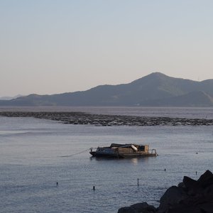岁诗月行