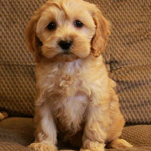 Sweather Weather (Sped up)