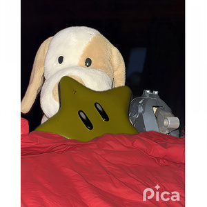 Pica