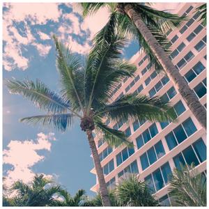 सामुदायिक बर्फ