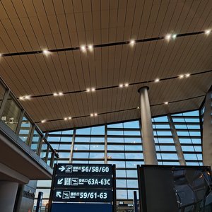 鲜花在岸上开_压缩机