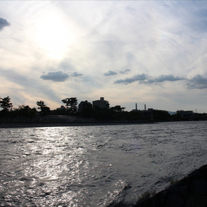 さよならって叫びたくて