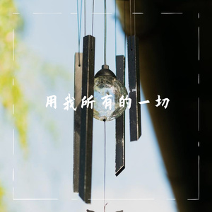 用我所有的一切