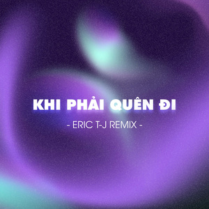 Khi Phải Quên Đi (Eric T-J Remix)