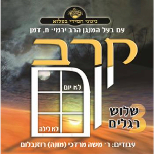 Hakafa 2 Belz Chassidic