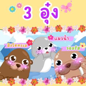 3อุ๋ง แมวน้ำ วอลรัส สิงโตทะเล